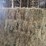 (50)-small-square-bales-of-1st-cutting-hay-in-2025*updated-bale-information-8-19-26-@-5:00p*-image-7