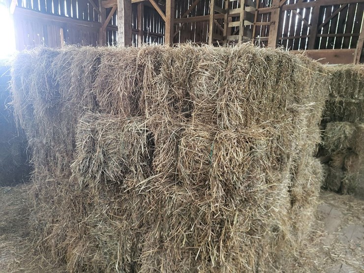 (50)-small-square-bales-of-1st-cutting-hay-in-2025*updated-bale-information-8-19-26-@-5:00p*-image-7