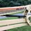 2016-jlg-t500j-image-22