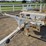 #79-•-2013-brooks-bros-tandem-axle-pole-trailer-image-40