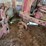 farmall-h-image-2
