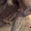 new-prima-table-top-cream-separator-parts-image-5