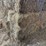 (50)-small-square-bales-of-1st-cutting-hay-in-2025-image-6