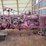 farmall-h-parts-tractor-image-4