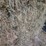 (50)-small-square-bales-of-1st-cutting-hay-in-2025-image-12