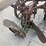 #5306-•-antique-two-bottom-pull-type-moldboard-plow-image-5