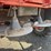 case-ih-2166-image-20