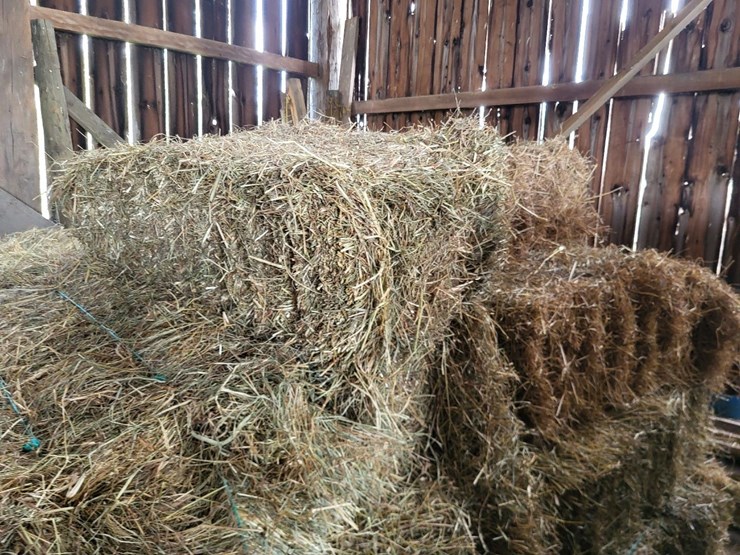 (41)-small-square-bales-of-1st-cutting-hay-in-2025-image-5