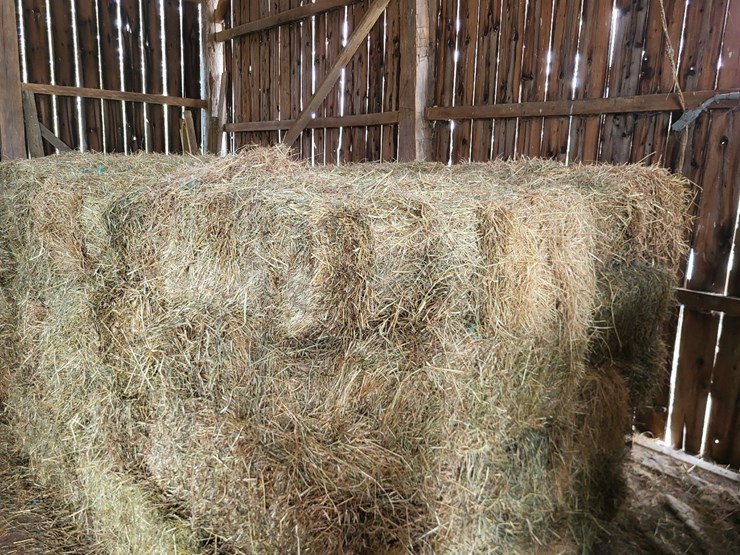 (50)-small-square-bales-of-1st-cutting-hay-in-2025-image-4