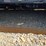 #26126-•-agt-brushcutter-skid-steer-attachment-image-8