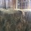 (50)-small-square-bales-of-1st-cutting-hay-in-2025-image-9