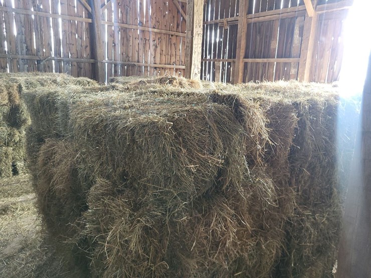 (50)-small-square-bales-of-1st-cutting-hay-in-2025-image-9