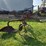 international-16-image-6