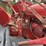 #6067-•-1948-farmall-h-tractor-image-23