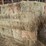 (50)-small-square-bales-of-1st-cutting-hay-in-2025-image-7