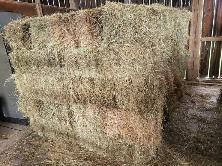 (50)-small-square-bales-of-1st-cutting-hay-in-2025-image-7