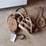 (2)-wooden-pulleys-image-3