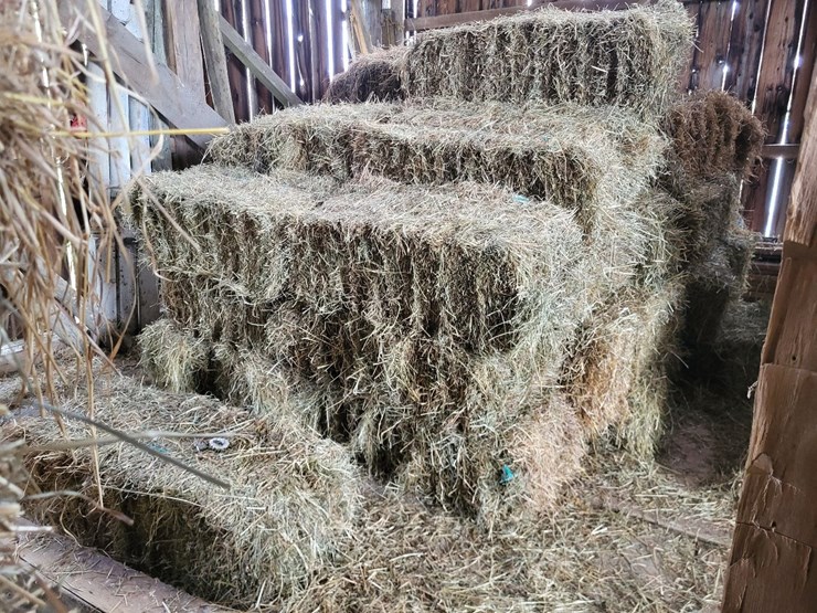 (41)-small-square-bales-of-1st-cutting-hay-in-2025-image-1