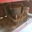 coca-cola-chest-vending-machine-image-9