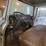 international-loadstar-image-19