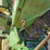 2020-john-deere-2020-image-31