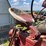 1955-farmall-300-image-18