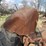 huber-b-image-35