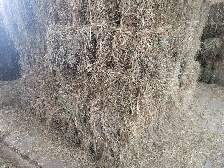 (50)-small-square-bales-of-1st-cutting-hay-in-2025*updated-bale-information-8-19-26-@-5:00p*-image-8