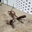 international-140-image-2