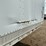 great-dane-53-image-28