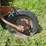 international-14-image-10
