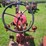 farmall-200-with-fast-hitch-sickle-mower-image-18