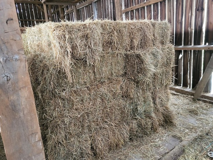 (50)-small-square-bales-of-1st-cutting-hay-in-2025*updated-bale-information-8-19-26-@-5:00p*-image-5