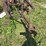 international-14-image-5