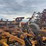 landoll-875-image-7