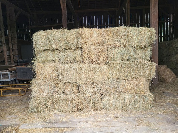 (50)-small-square-bales-of-1st-cutting-hay-in-2025-image-1