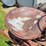1940-international-a21-shop-mule-image-17