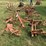 allis-chalmers-2-row-cultivator---off-d15-image-3