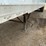 great-dane-53-image-14