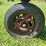 farmall-200-with-fast-hitch-sickle-mower-image-10