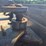 new-holland-dc80-image-72