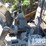 yanmar-vio35-6-image-3