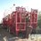cardwell-d-image-2