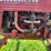 1949-farmall-cub-image-16