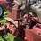 1954-farmall-super-h-image-22