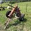 international-18-image-2