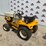 international-cub-image-3