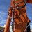 2023-develon-dx85r-3-hydraulic-excavator-image-19