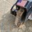 #101-•-coneqtec-stump-grinder-for-skid-loader-image-32