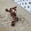 #5034-•-aftermarket-interchangeable-wide-front-image-2